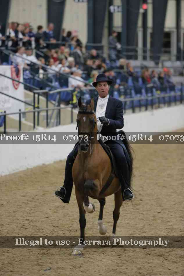 Proof Number 15R14_07073