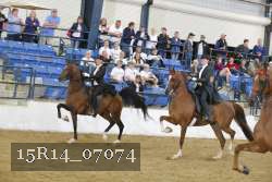 15R14_07074 thumbnail