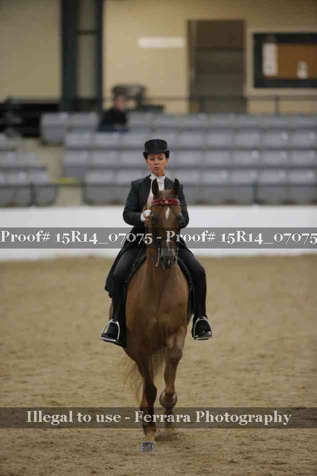 Proof Number 15R14_07075