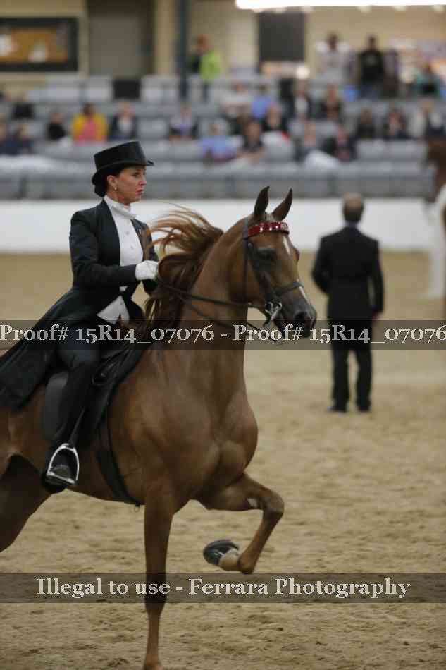 Proof Number 15R14_07076