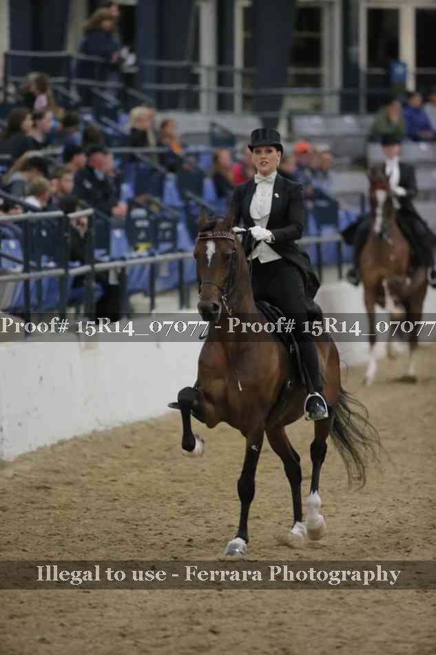 Proof Number 15R14_07077