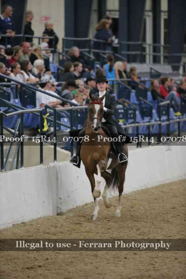 Proof Number 15R14_07078