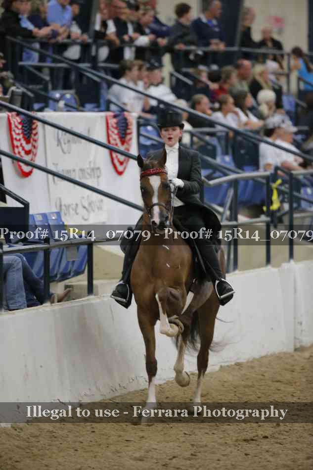 Proof Number 15R14_07079