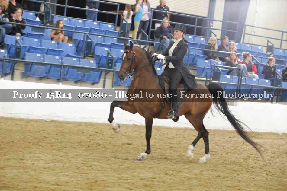Proof Number 15R14_07080