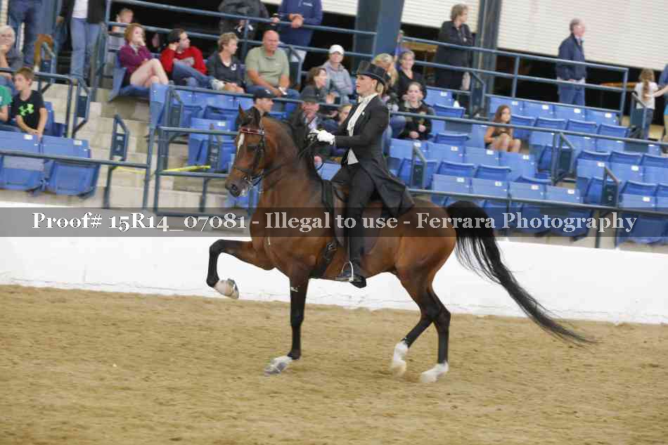 Proof Number 15R14_07081