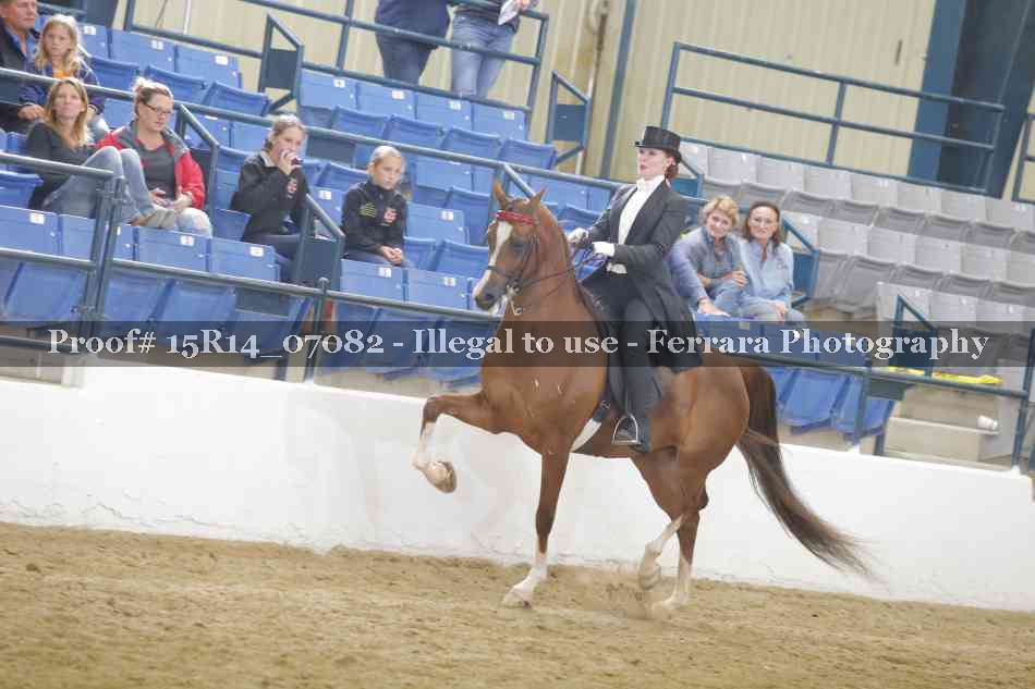 Proof Number 15R14_07082