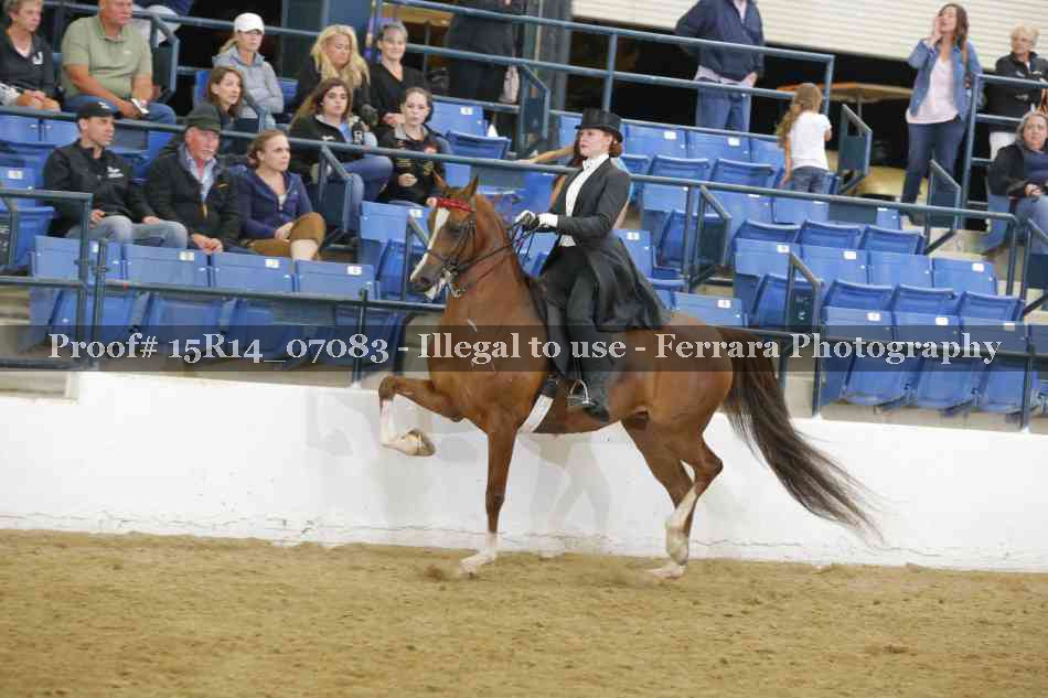 Proof Number 15R14_07083