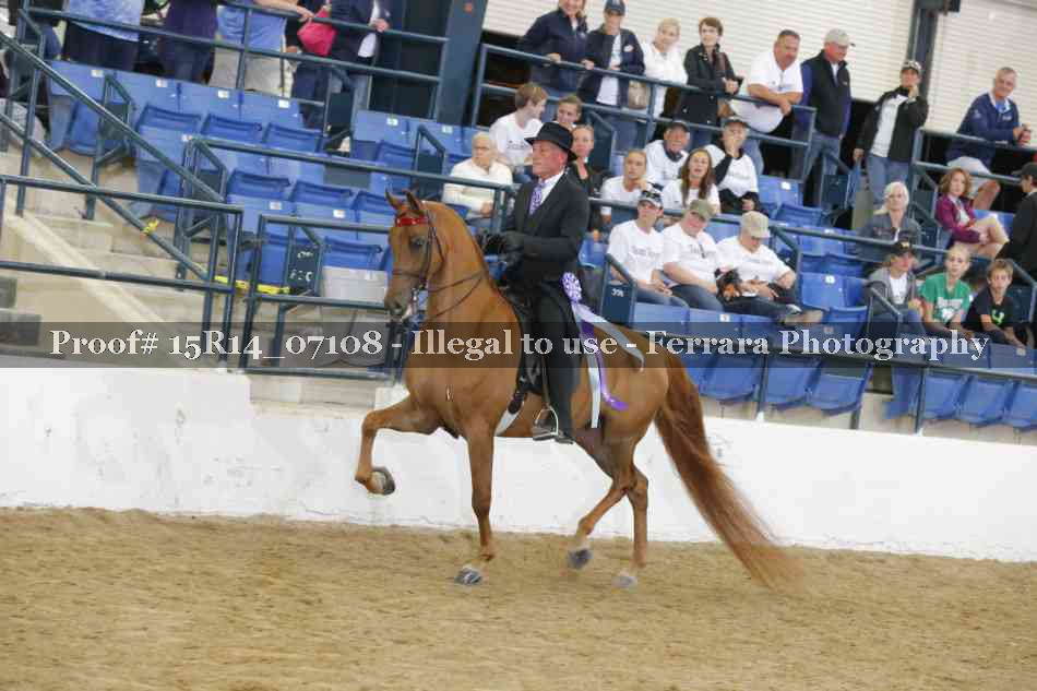 Proof Number 15R14_07108