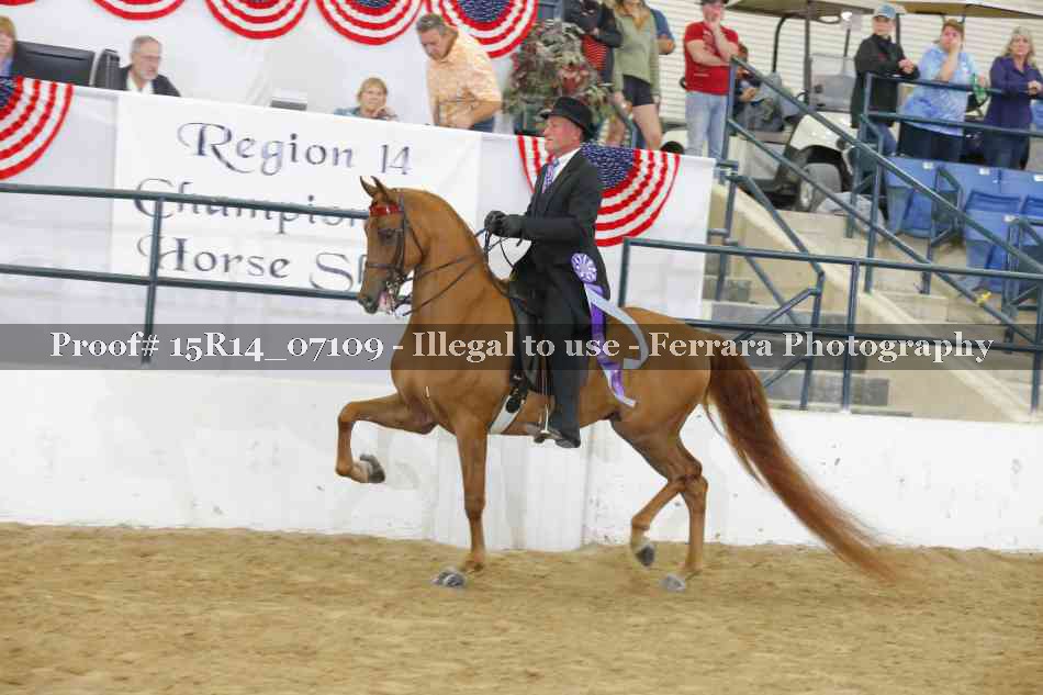 Proof Number 15R14_07109