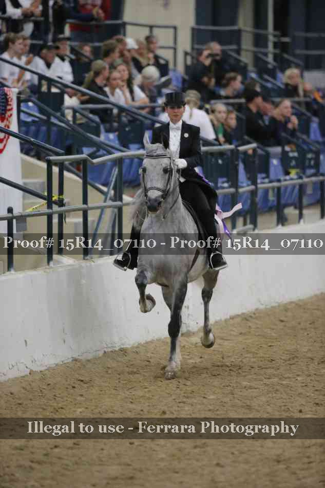 Proof Number 15R14_07110