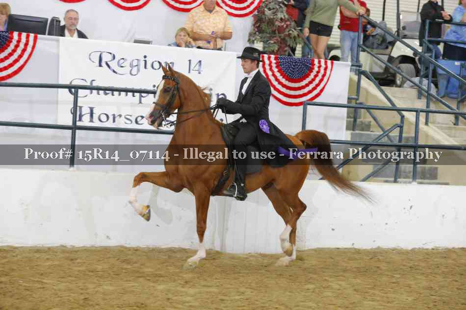 Proof Number 15R14_07114