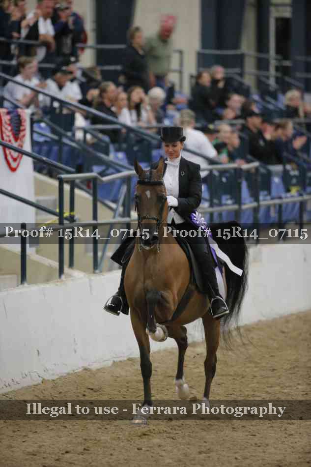 Proof Number 15R14_07115