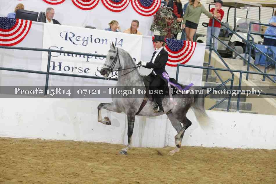 Proof Number 15R14_07121