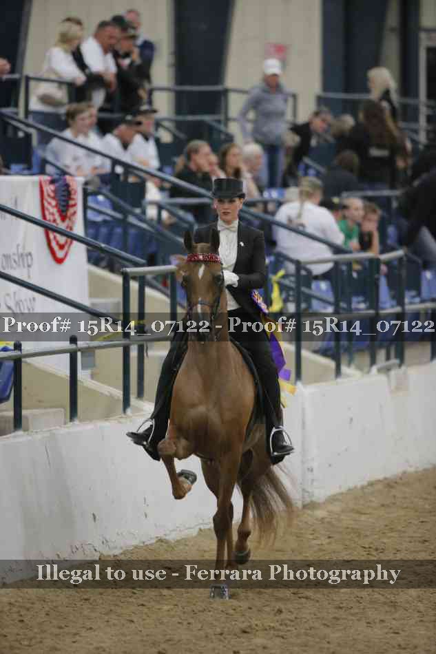 Proof Number 15R14_07122
