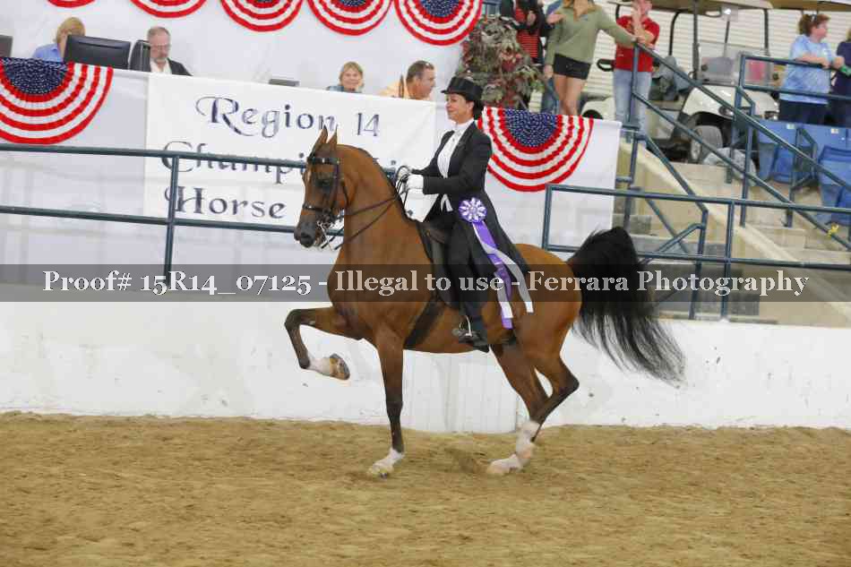 Proof Number 15R14_07125