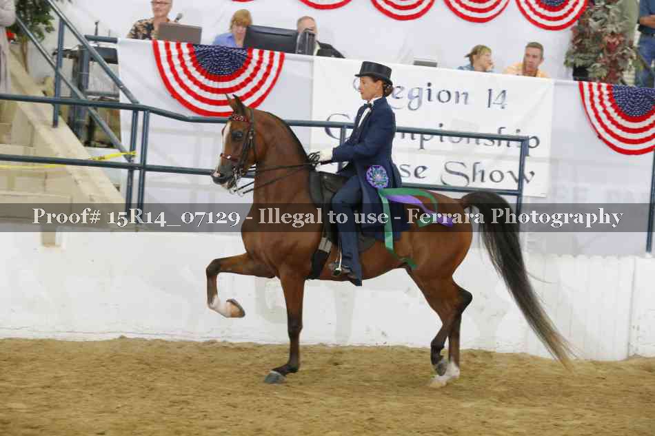 Proof Number 15R14_07129