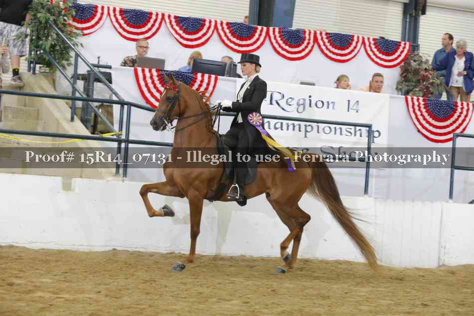 Proof Number 15R14_07131