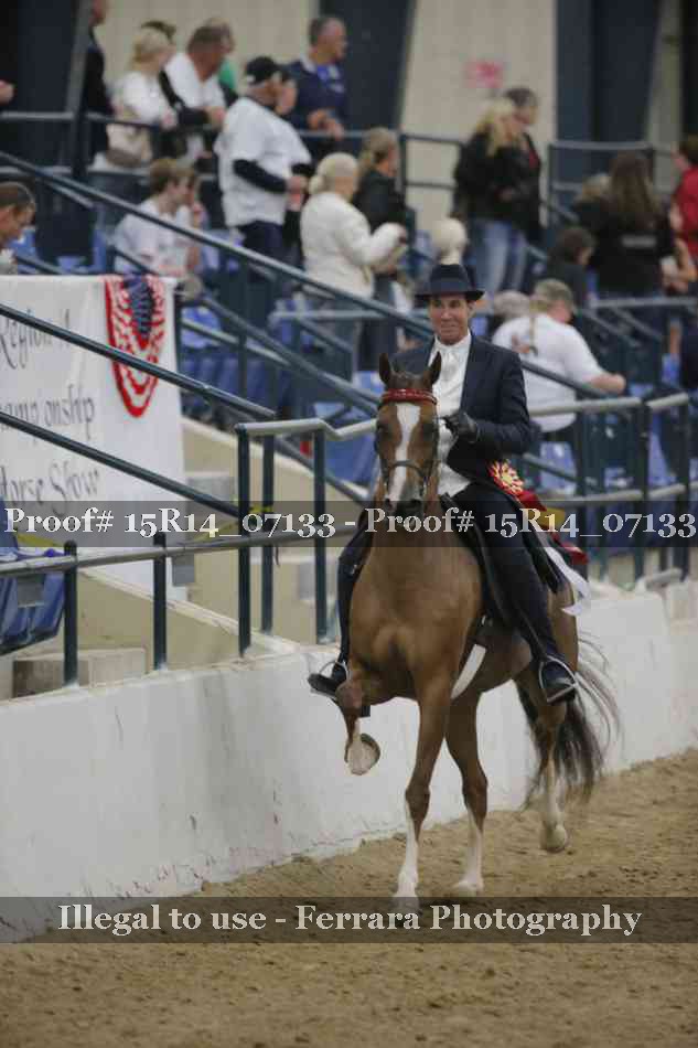 Proof Number 15R14_07133