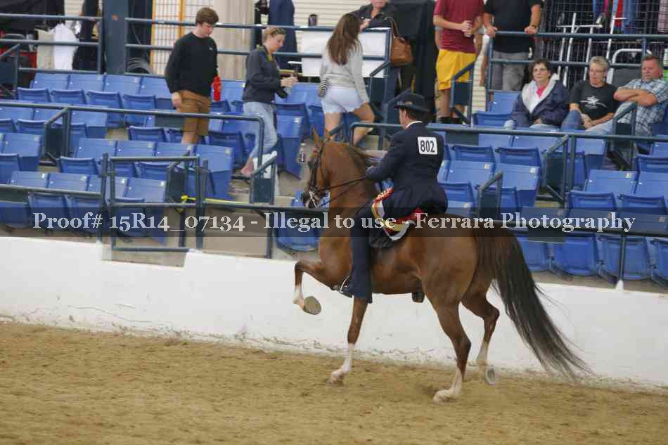 Proof Number 15R14_07134