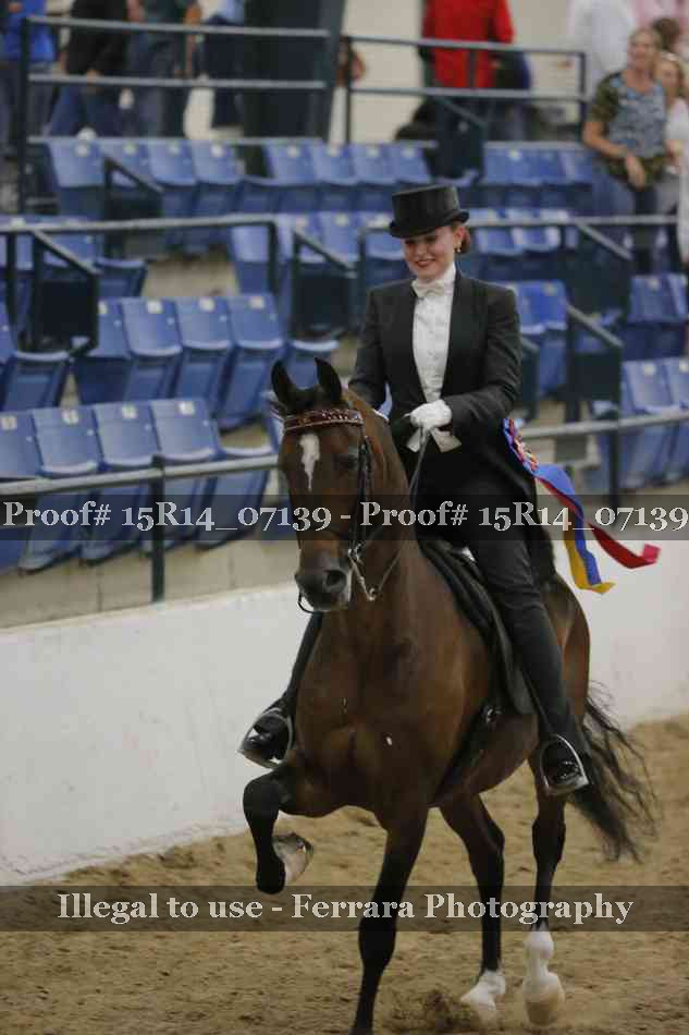 Proof Number 15R14_07139