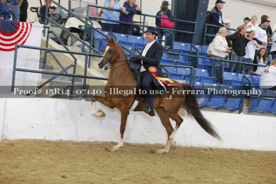 Proof Number 15R14_07140