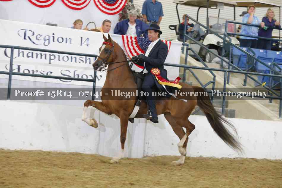 Proof Number 15R14_07141