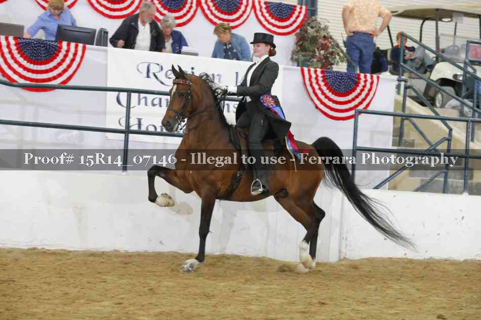 Proof Number 15R14_07146