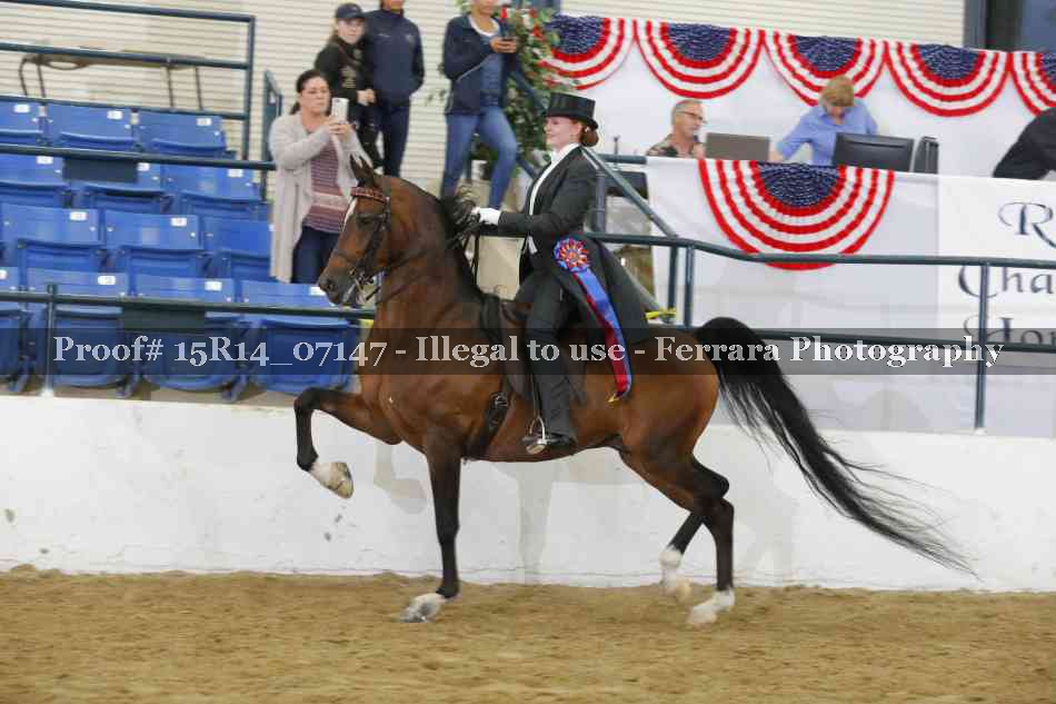 Proof Number 15R14_07147