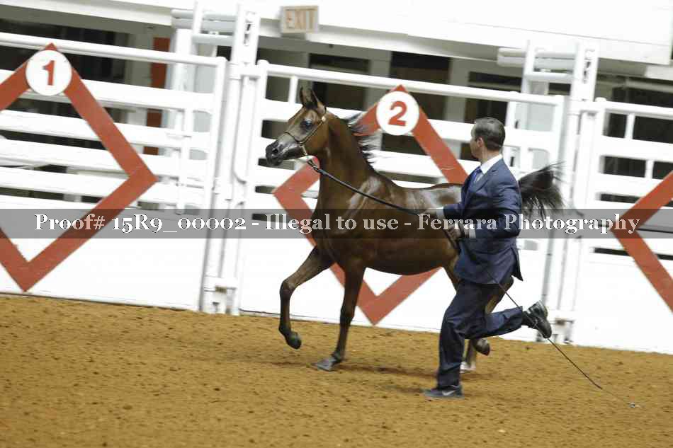 Proof Number 15R9_00002