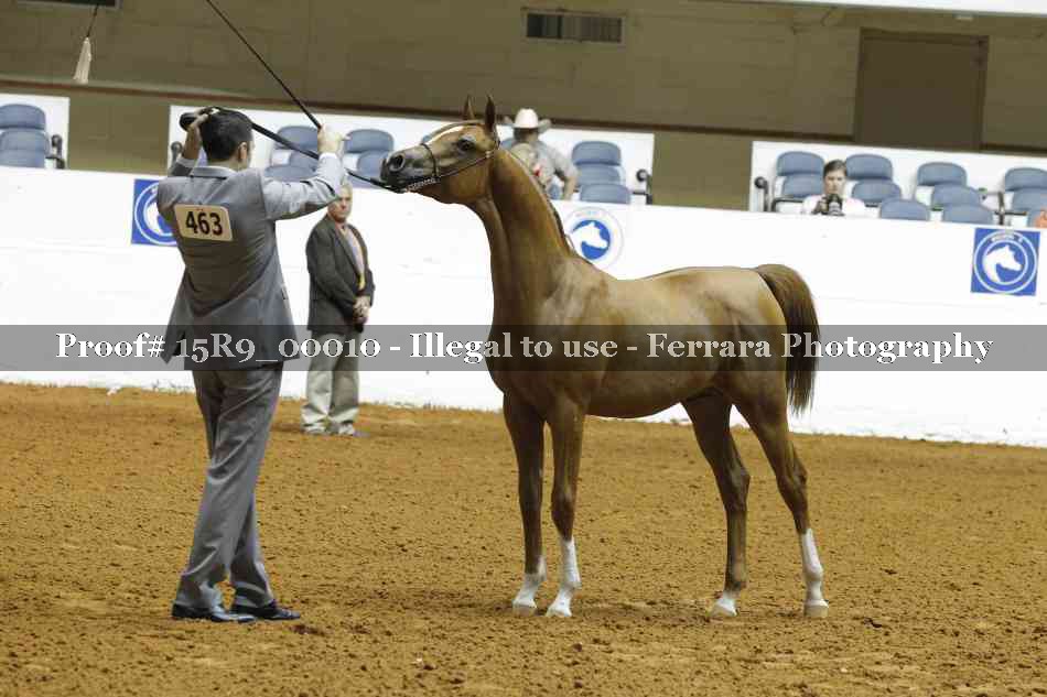 Proof Number 15R9_00010