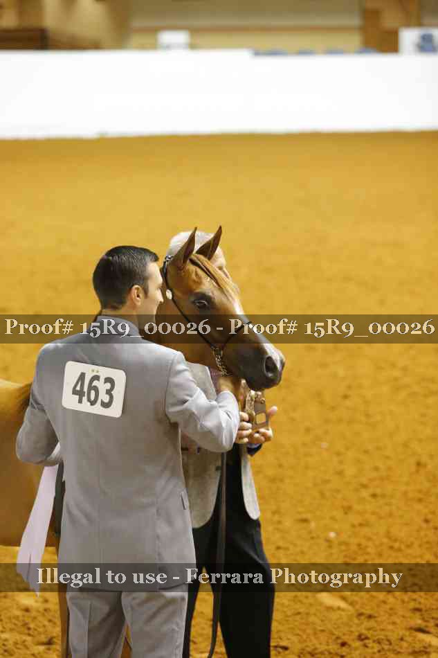 Proof Number 15R9_00026
