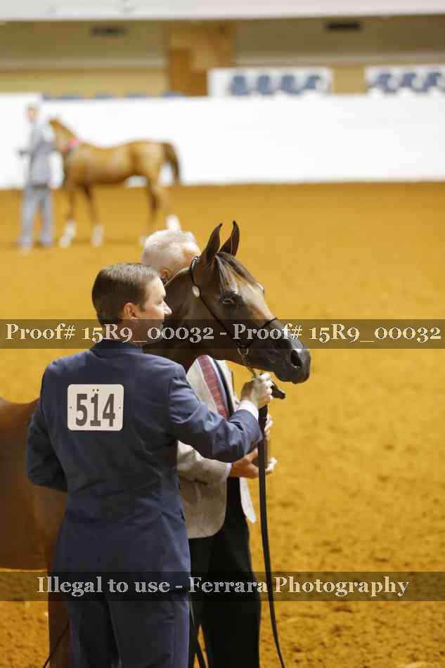 Proof Number 15R9_00032