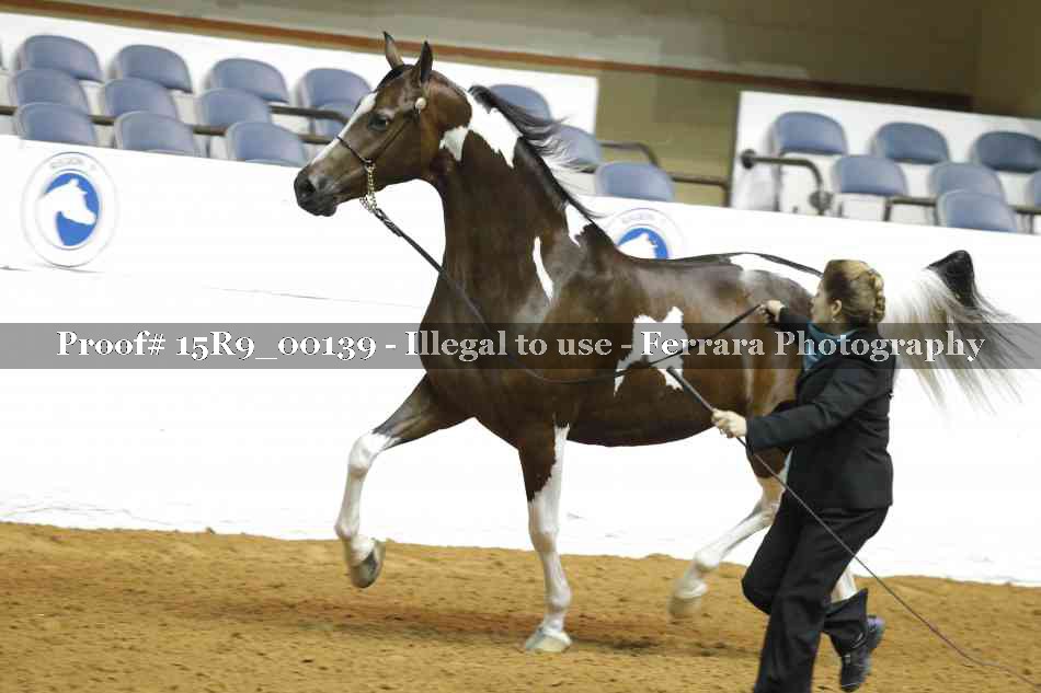 Proof Number 15R9_00139