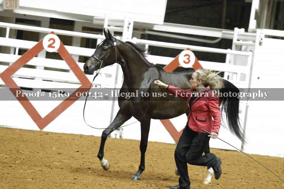 Proof Number 15R9_00142