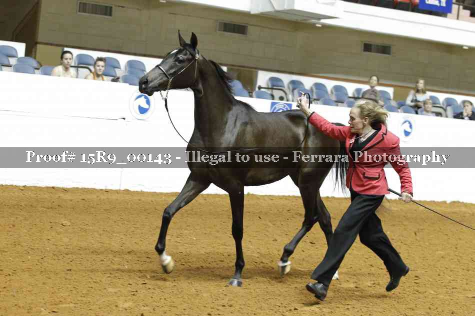 Proof Number 15R9_00143