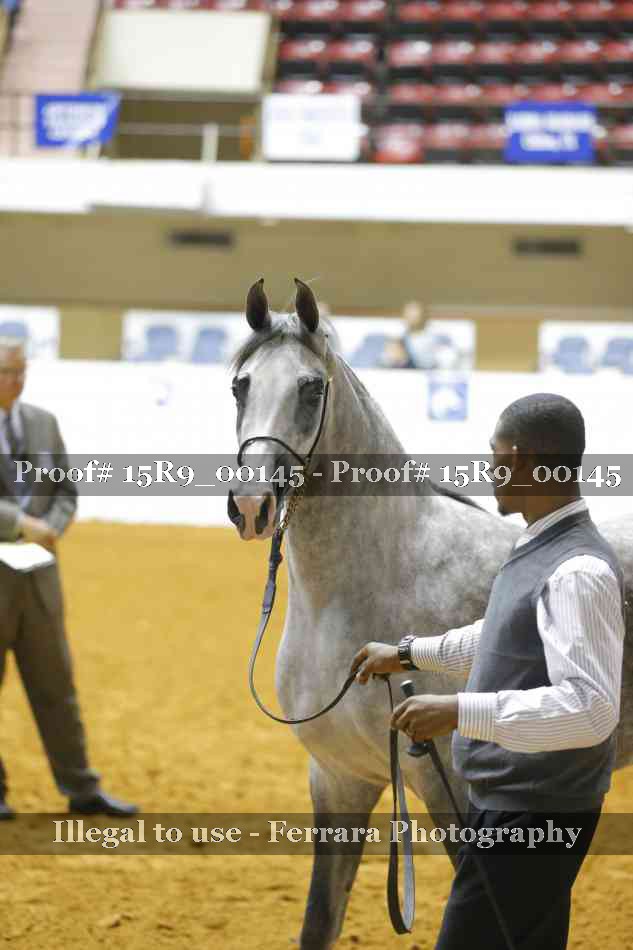 Proof Number 15R9_00145