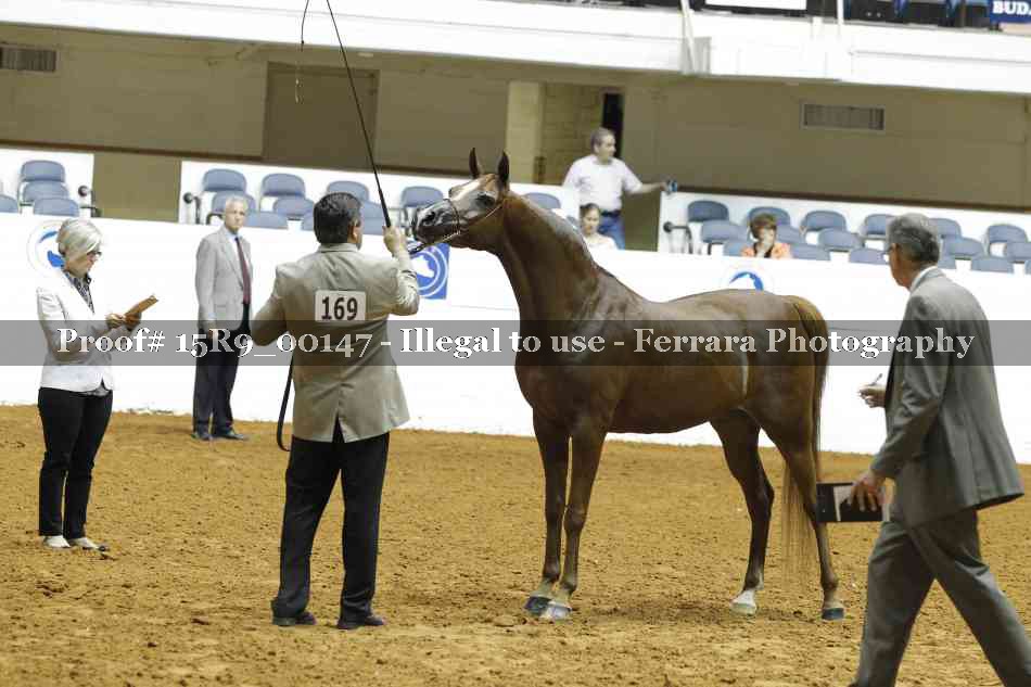 Proof Number 15R9_00147
