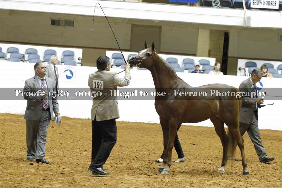 Proof Number 15R9_00150