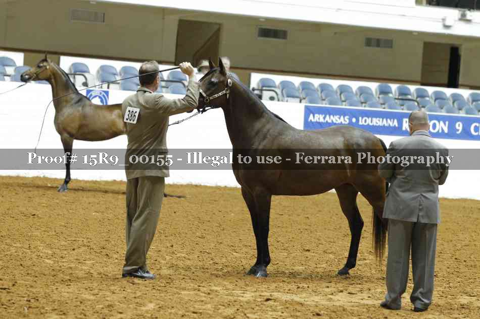 Proof Number 15R9_00155