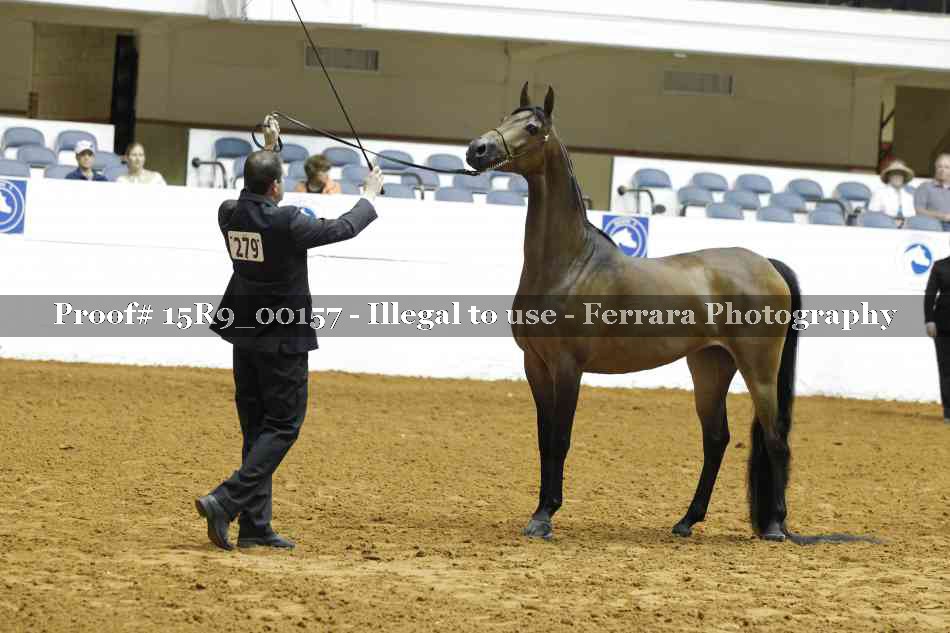 Proof Number 15R9_00157
