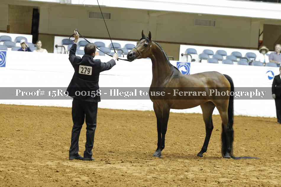 Proof Number 15R9_00158