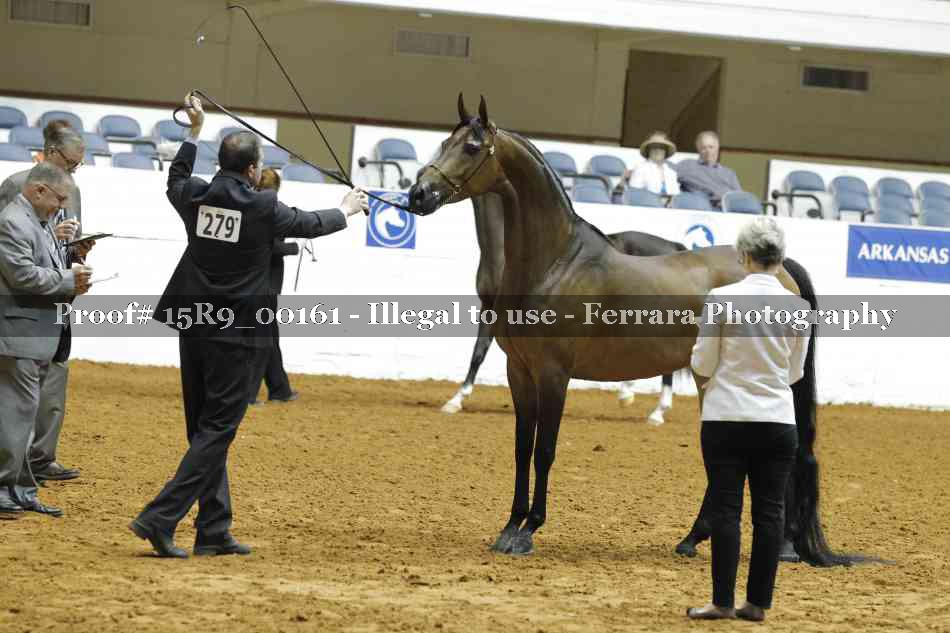 Proof Number 15R9_00161