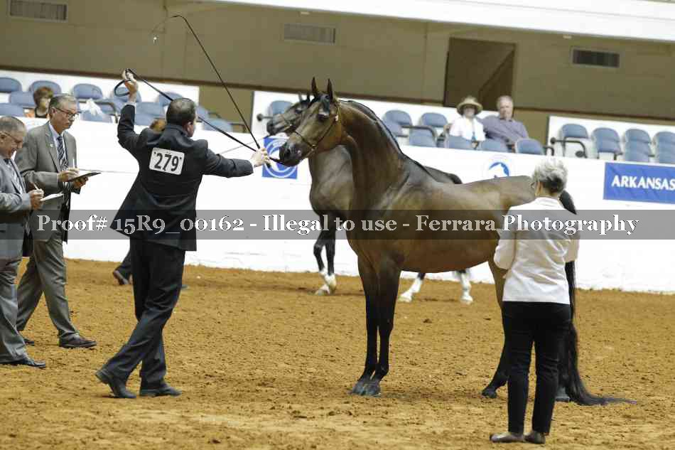 Proof Number 15R9_00162