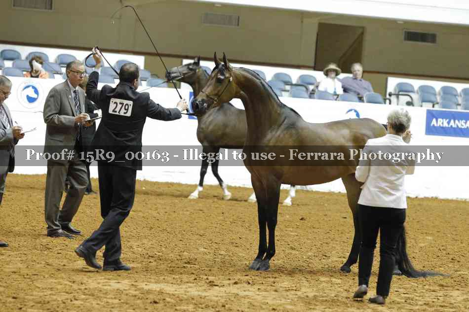 Proof Number 15R9_00163