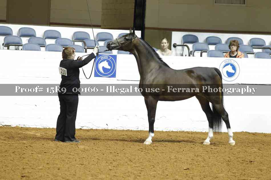 Proof Number 15R9_00166