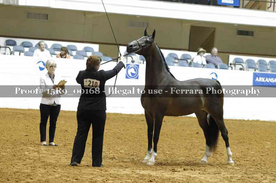 Proof Number 15R9_00168