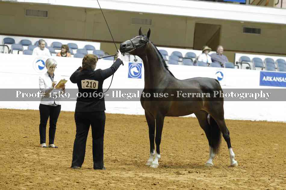 Proof Number 15R9_00169