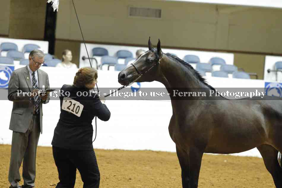 Proof Number 15R9_00171