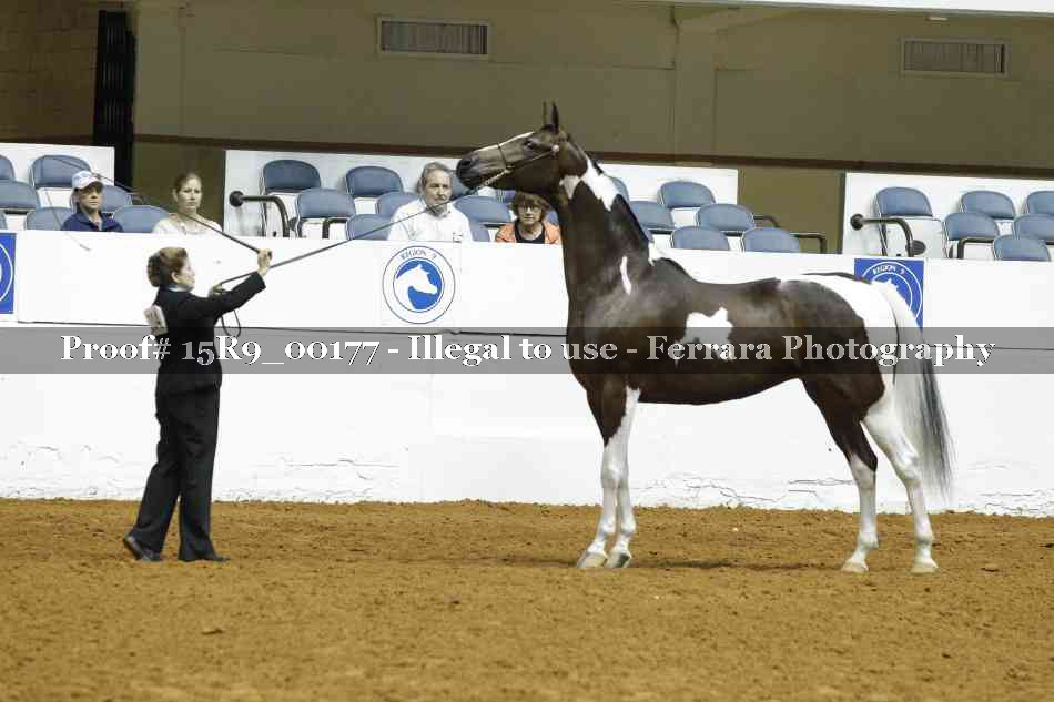 Proof Number 15R9_00177