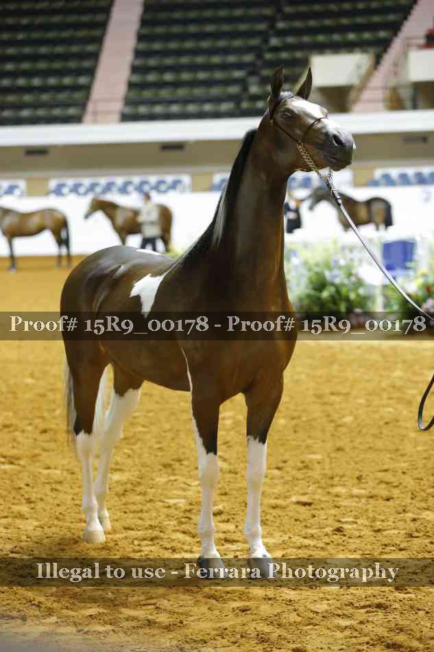 Proof Number 15R9_00178